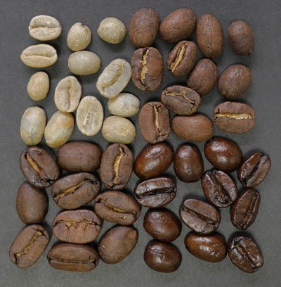 حبات-القهوة-4-حالات