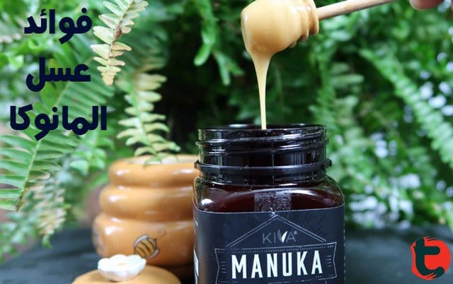 عسل المانوكا 7 فوائد صحية مدعومة بالعلم لعسل المانوكا النيوزيلندي توعية