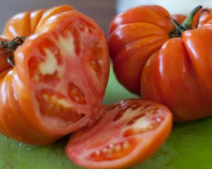 أنواع-الطماطم-الموروثة