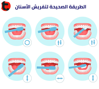 الطريقة-الصحيحة-لتفريش-الأسنان-صحة-الأسنان